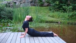 Cours de Yoga au Travail et pour Ainés Montréal et Rive Sud